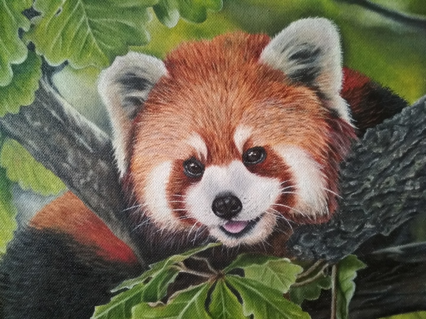 Red panda картины