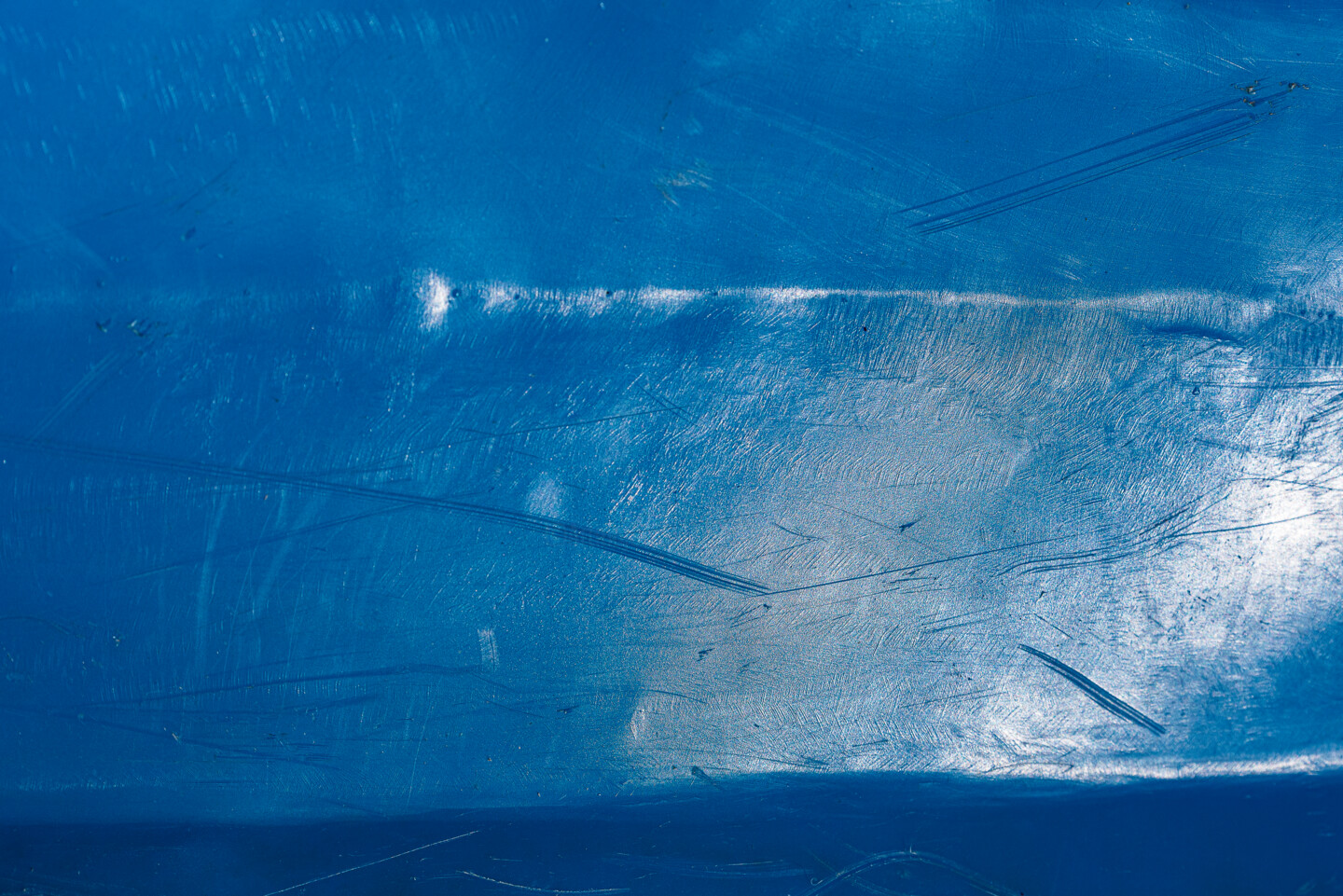 A Fleur De Peau, Photography by Elisabeth Laplante Artmajeur