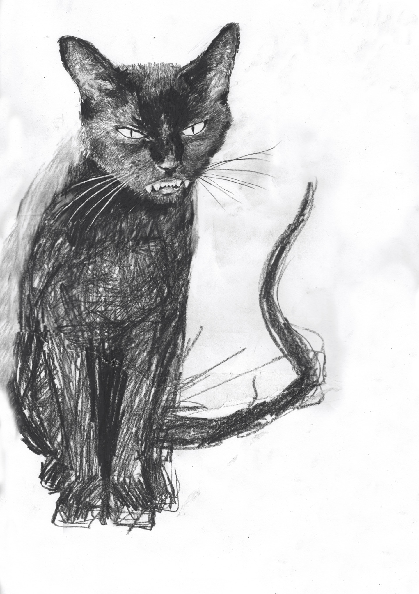 Cartoon Black Cat Drawing Sketch for Kindergarten
