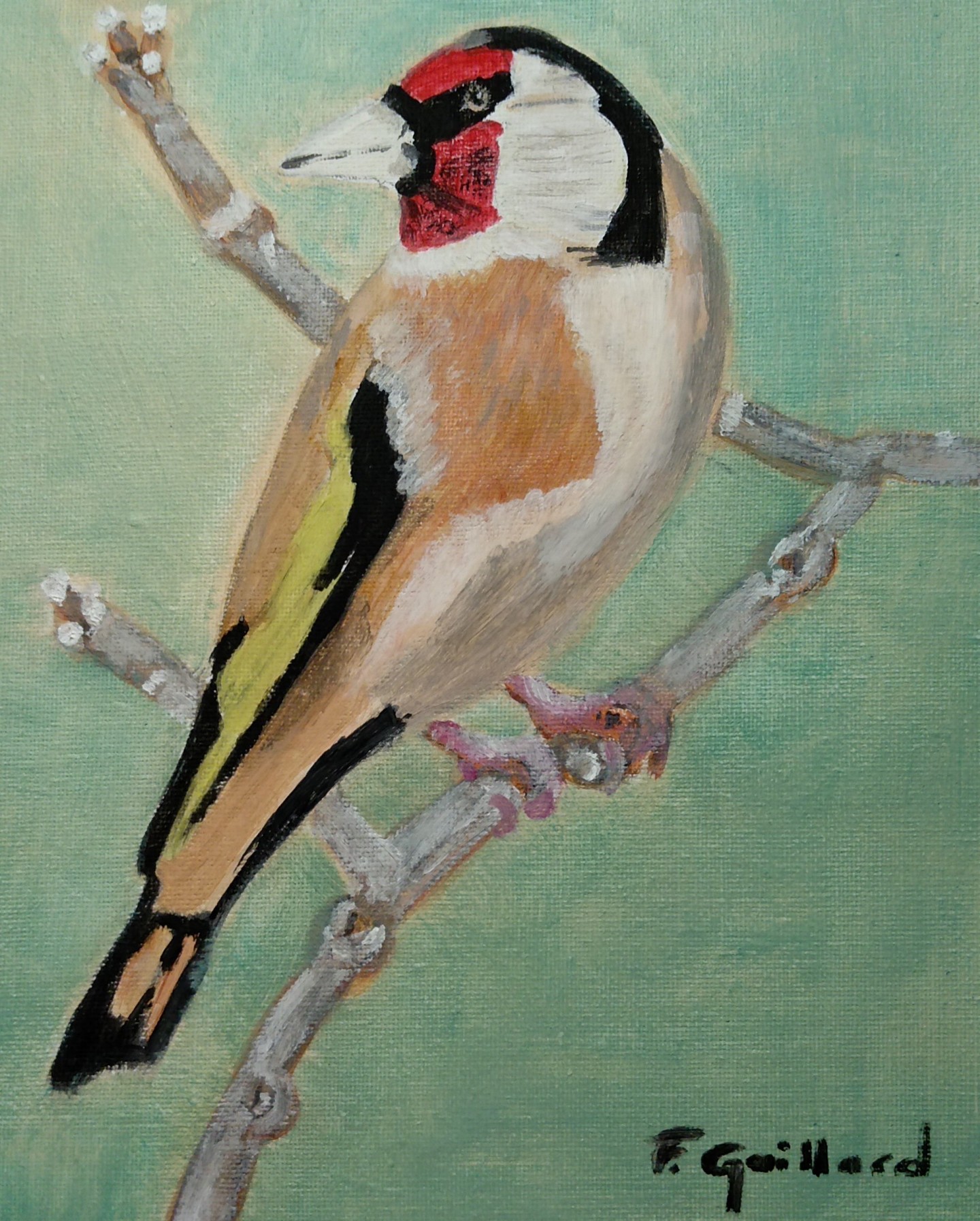 Chardonneret Painting By Franck Gaillard Artmajeur Chardonneret Painting By Franck Gaillard Artmajeur