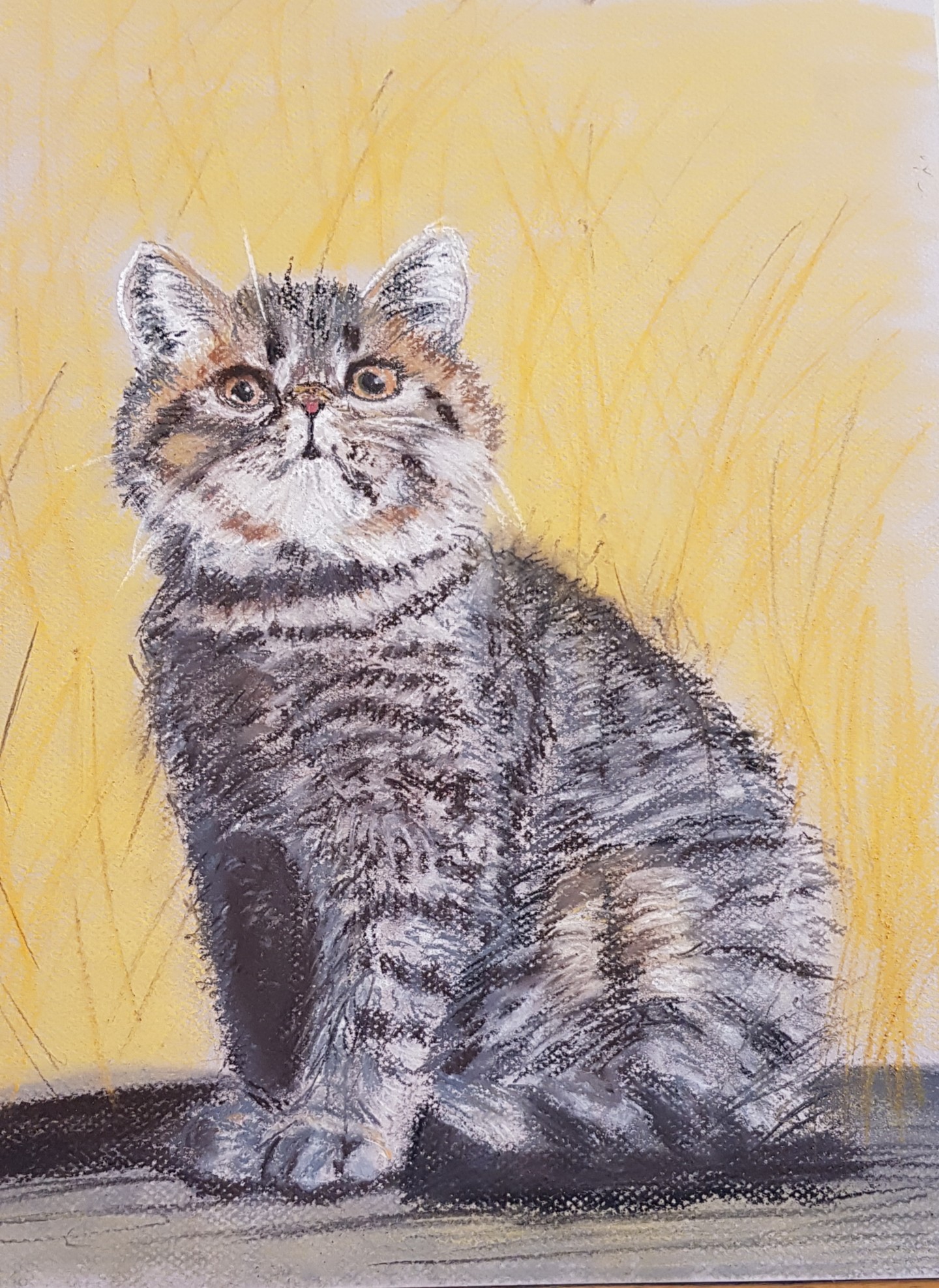 Chat Assis Dessin Par Ghislaine Rimmen Mohl Artmajeur