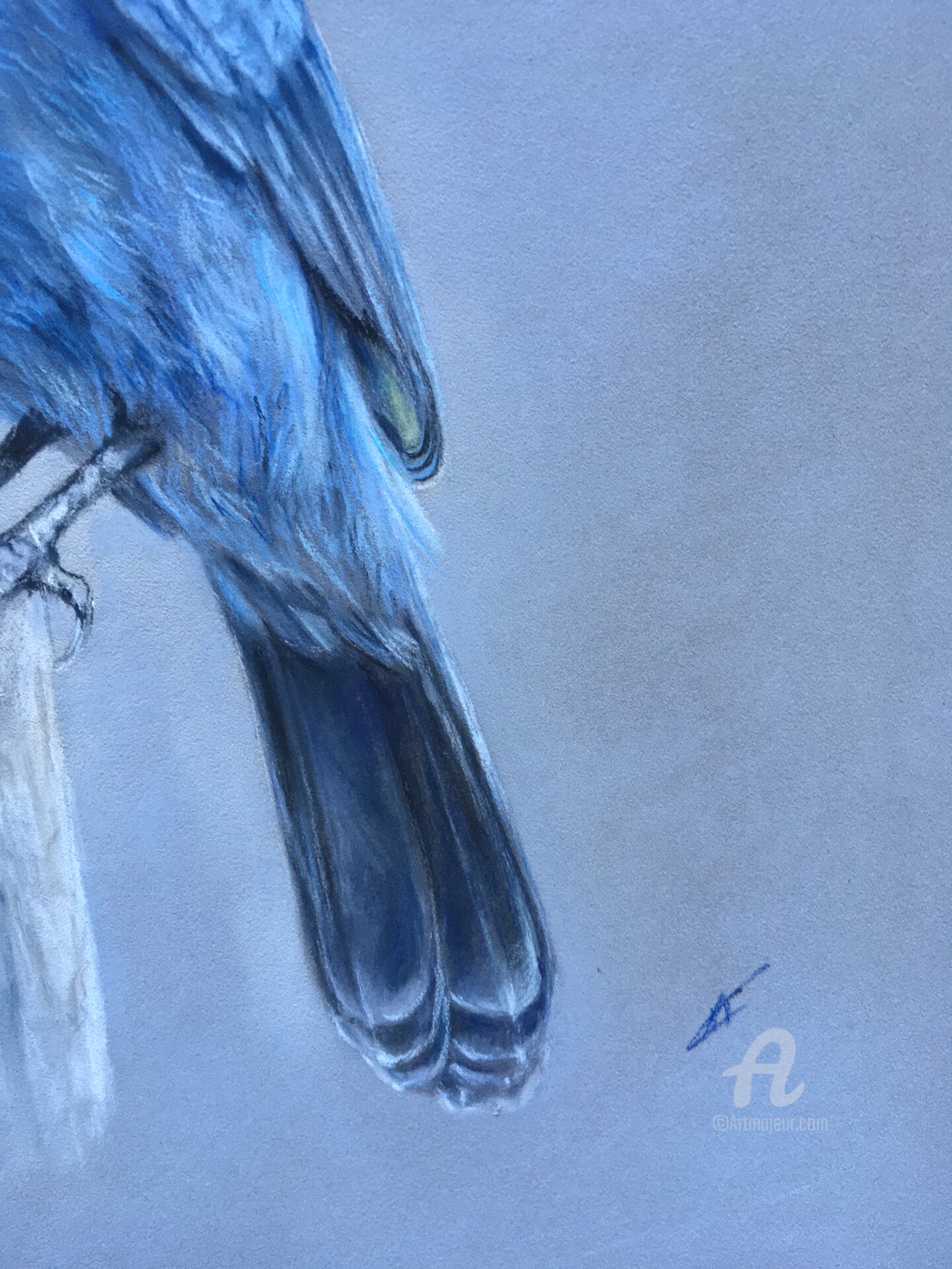 ZMHZMY Pittura Digitale Pittura Fai da Te Uccello Martin Pescatore Bluebird  Paint by Numbers Pittura a Olio Stampa Artistica da Parete Decorazione per