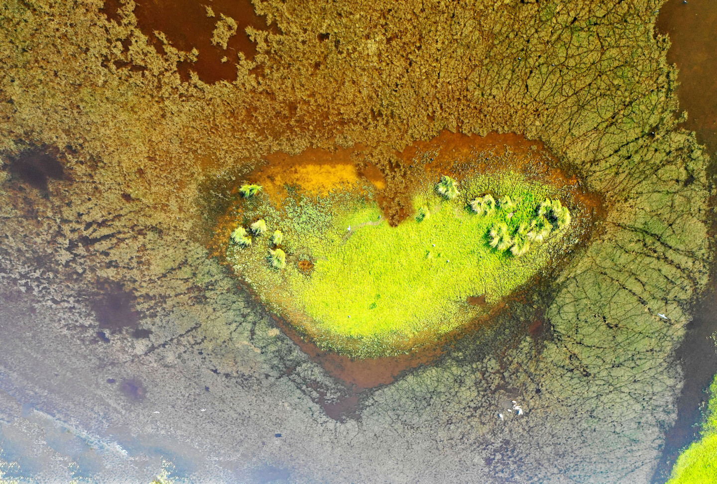 Normandie, Photography by JeanClaude Mathier Artmajeur