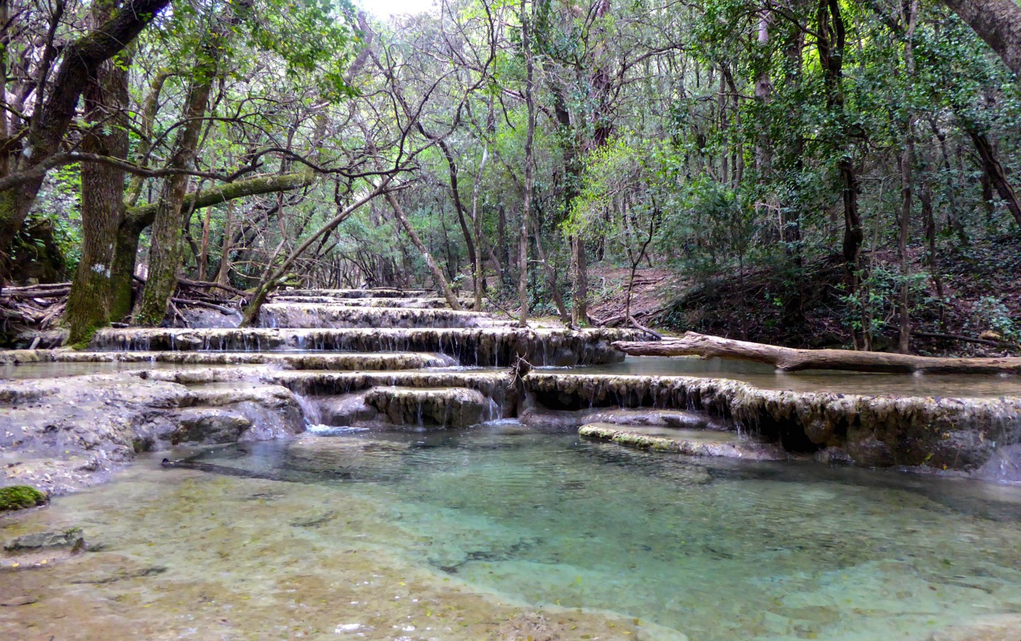 Sources De L'huveaune 2, Photographie par Jean Paul Rosso Artmajeur