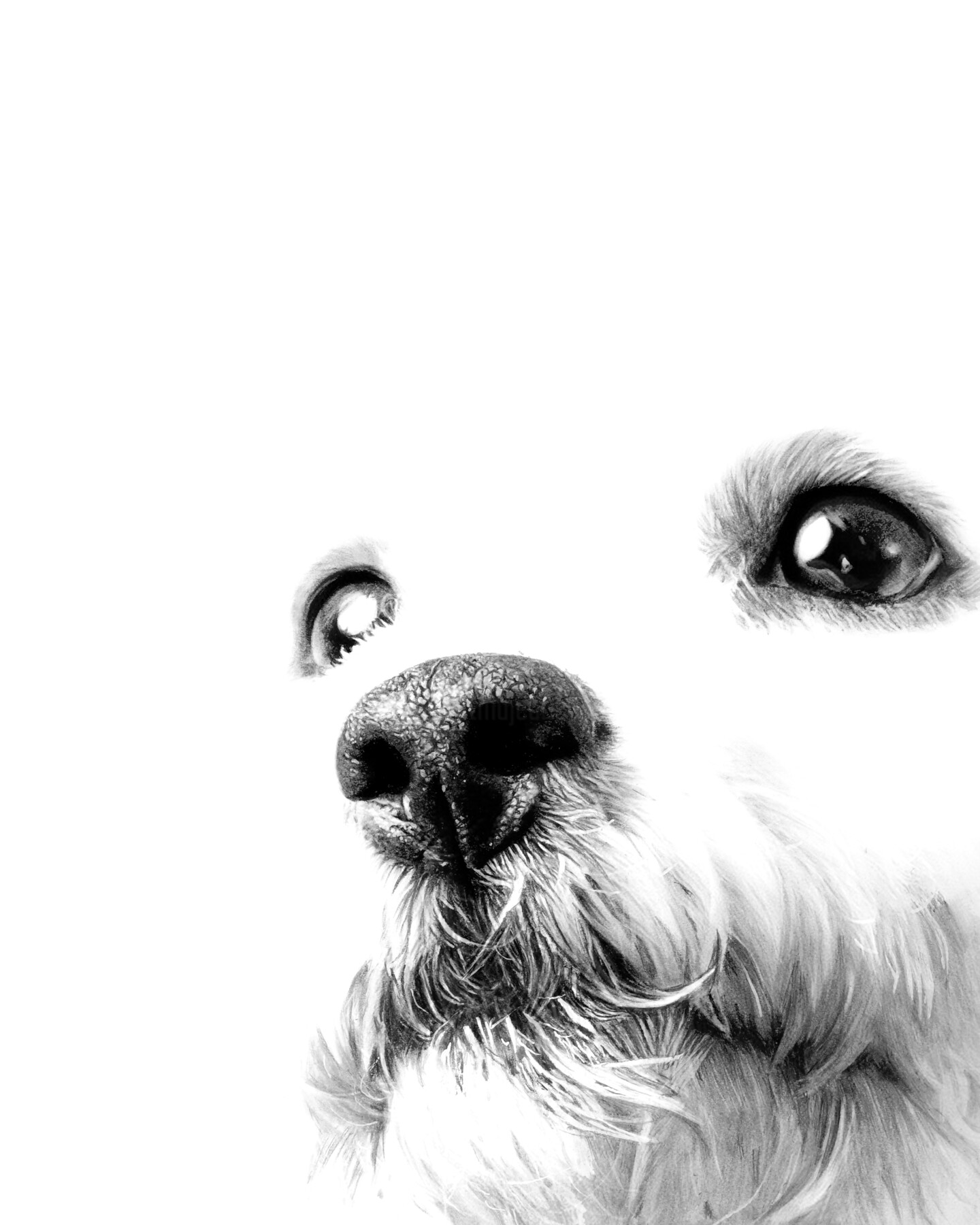 Kama (Polska), Współczesny artysta ilustrator Artmajeur