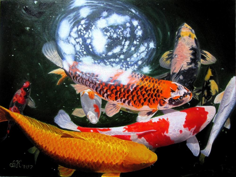 Декоративный кои. Японский вуалевый карп - кои. Декоративный кои. Декоративный кои. Карп кои парчовый.