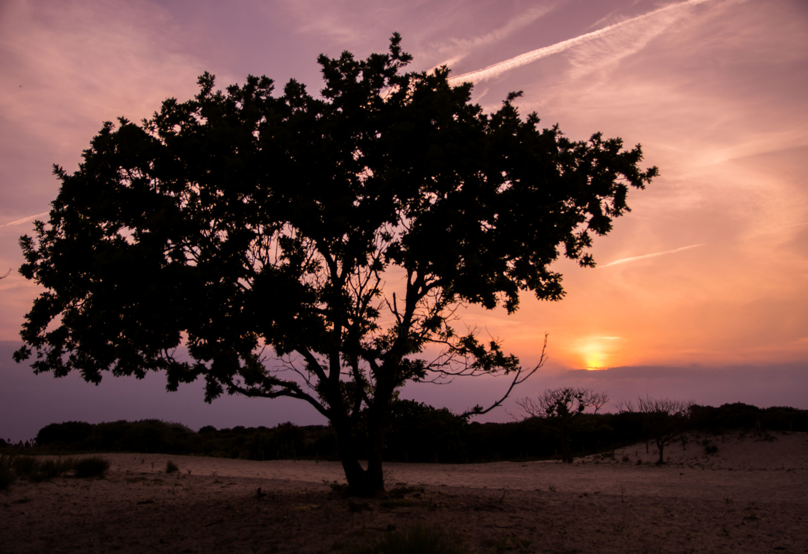 Sunset With Tree Silhouette 2 Photography By Wouter Kouwenberg Artmajeur