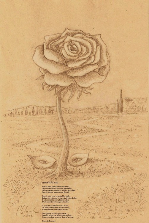 Prends Cette Rose Poème De Pierre De Ron, Painting by Patrick Lalande |  Artmajeur