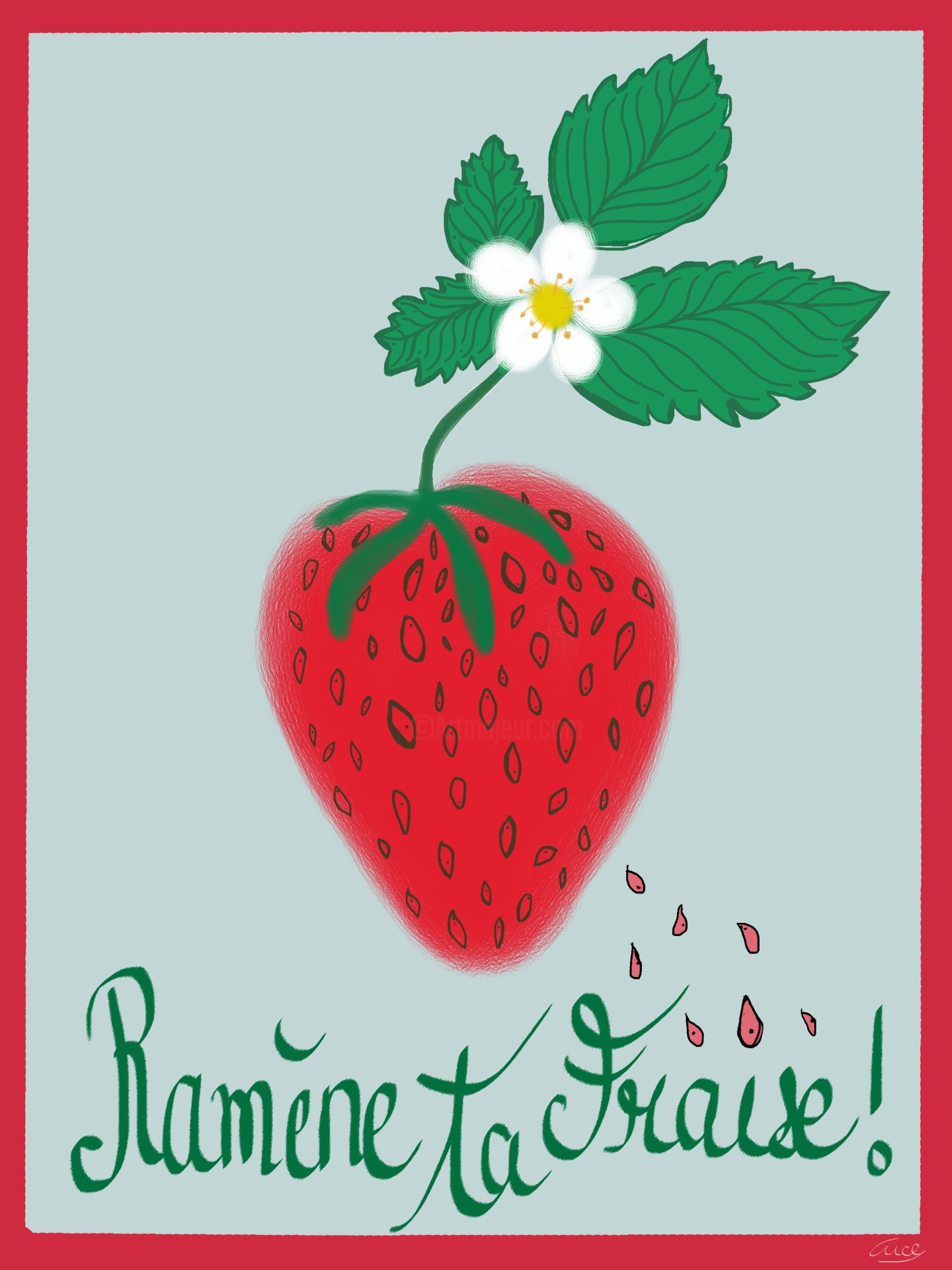 Kit ramène ta fraise à faire pousser