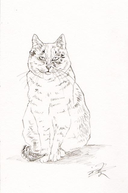 Chat Assis Souriant Dessin Par Lilou Artmajeur