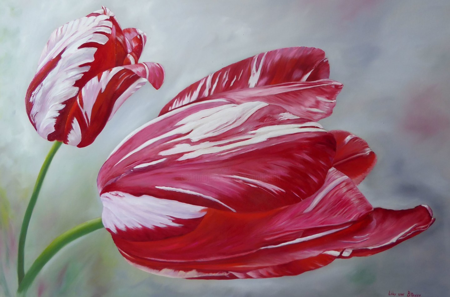 English Tulip Painting By Lily Van Bienen Artmajeur
