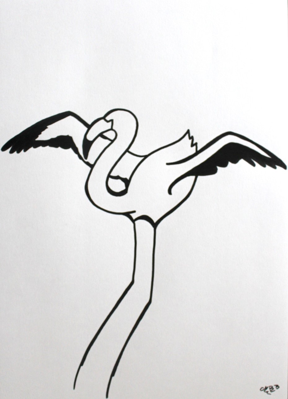 Le Flamant Rose Aux Ailes Deployees Drawing By Michele Baylet Brunet Artmajeur