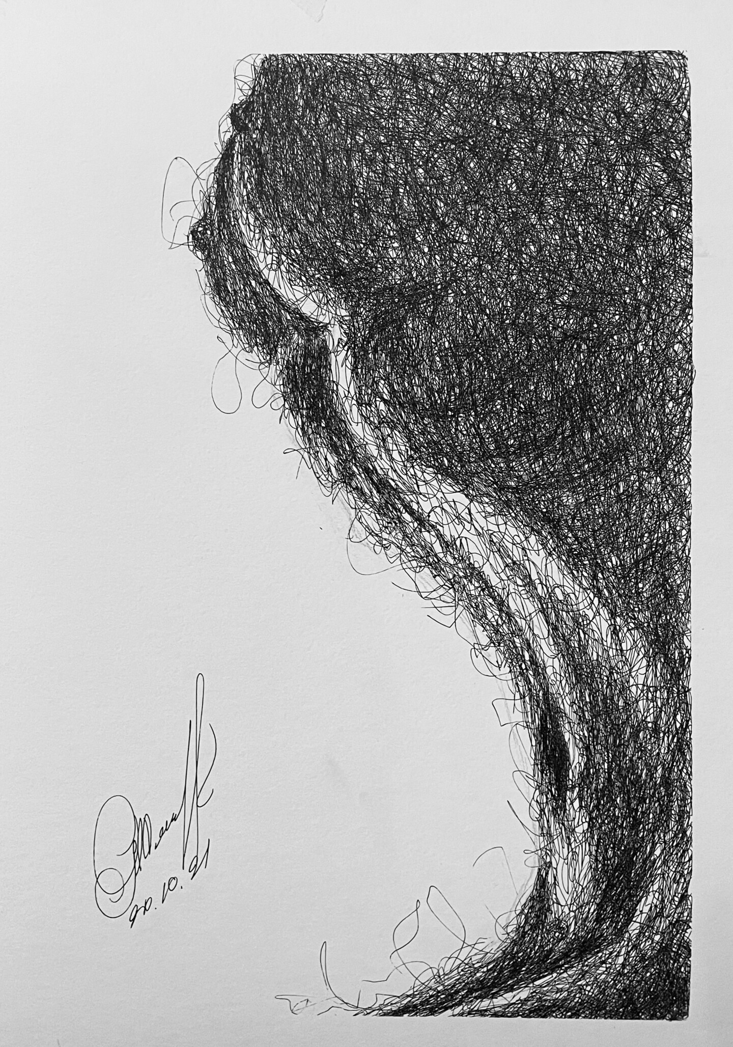 Maxima for рисунки