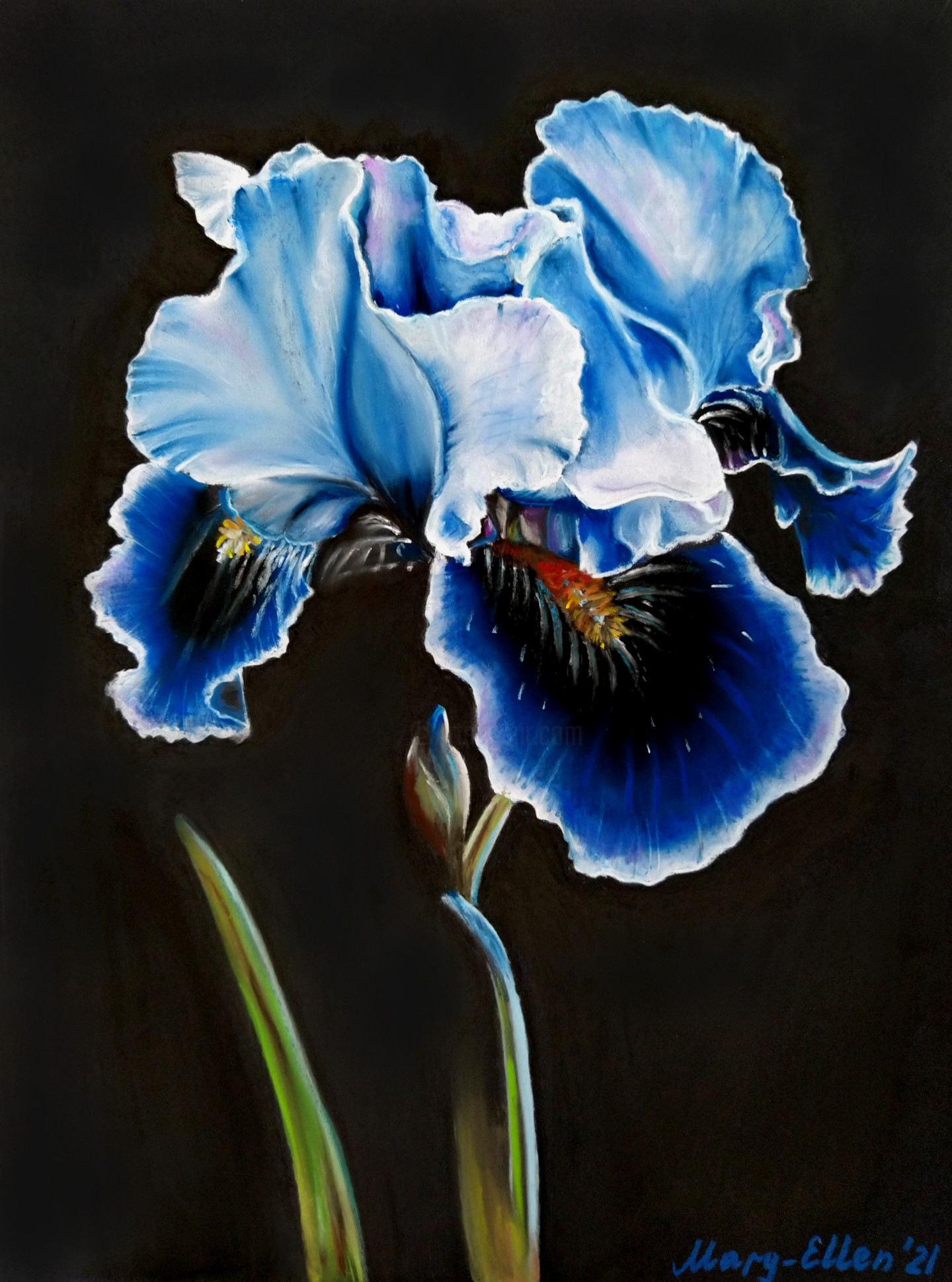 Blue Iris, Painting by Mariam Mary Ellen
