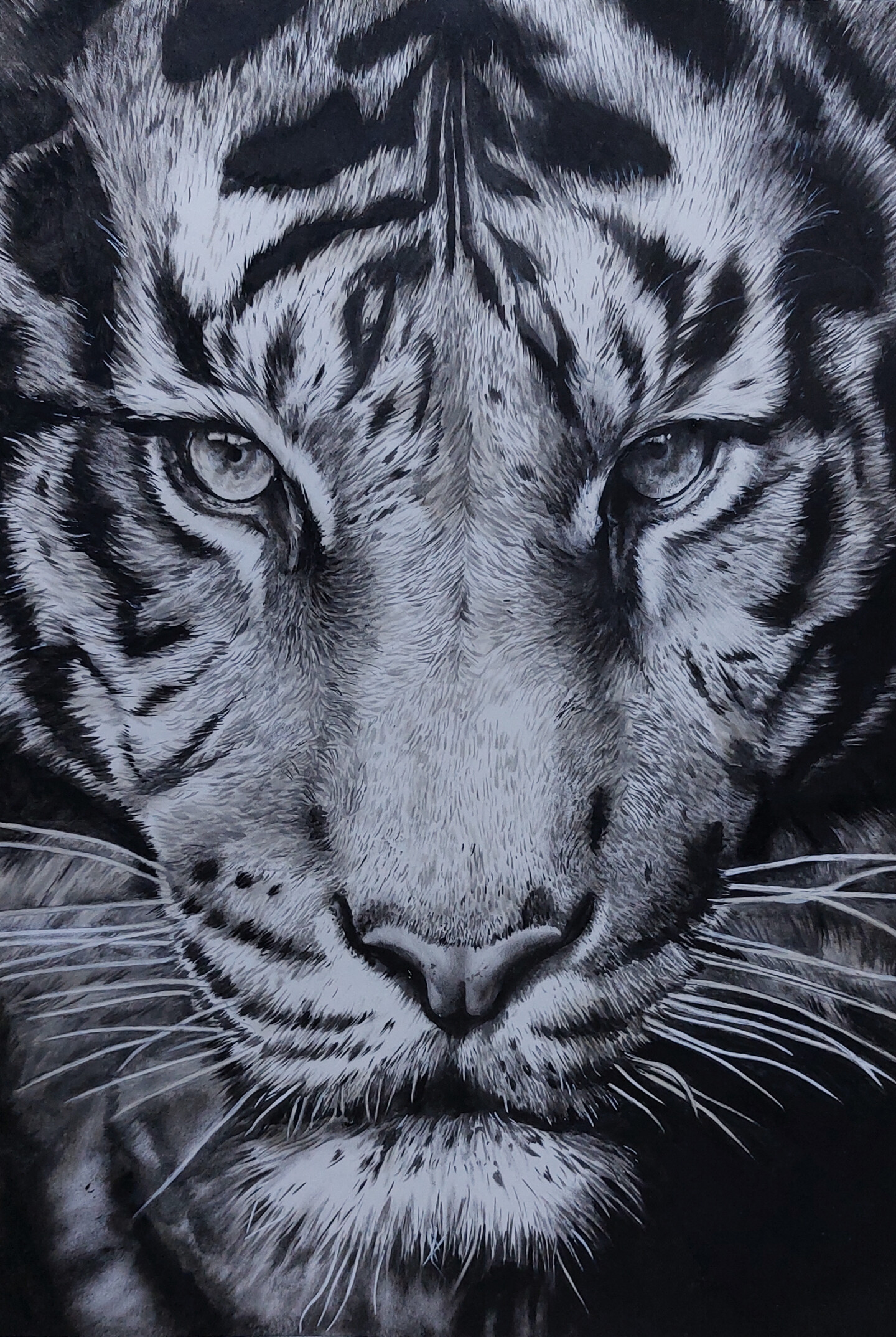 Tiger Pencil Drawing Canvas Print