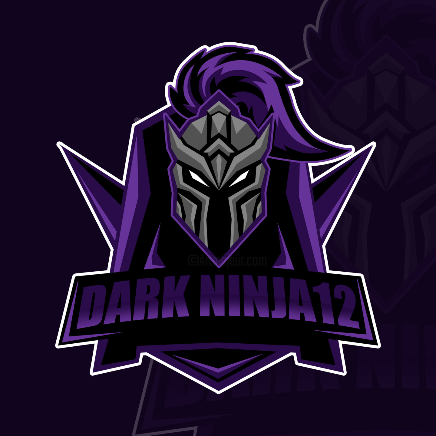 Ninja Gamer Logo