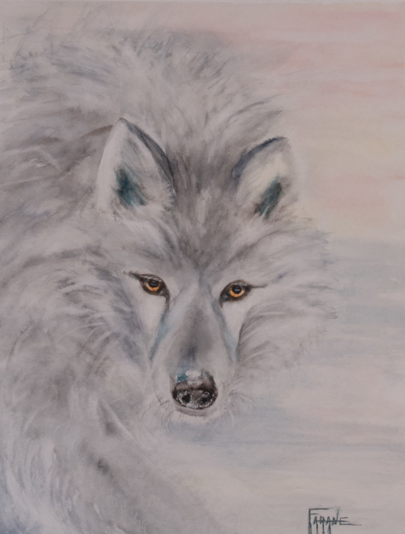 Loup Blanc Arctique Rencontre Par Vincent Munier Painting By Michelle Alias Farane Thebault Artmajeur