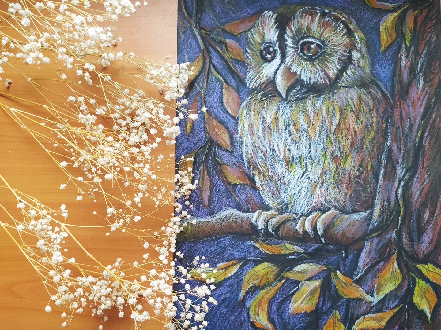 Рисуем сову пастелью