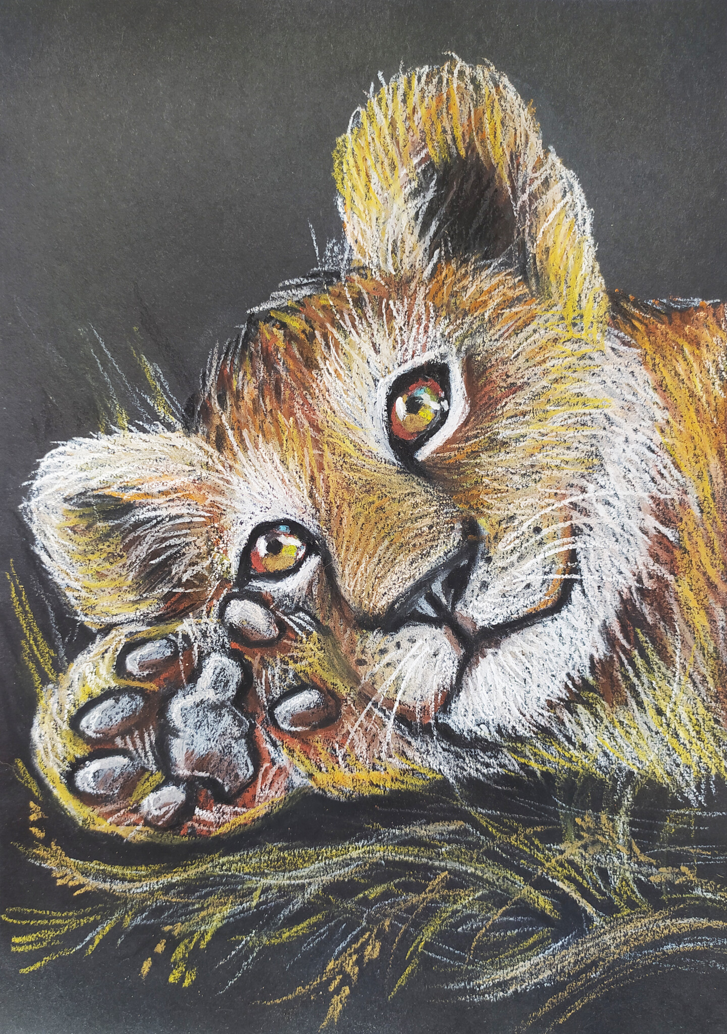 Dreamy Lion Cub Painting Animal Art Oil , Drawing by Nadezhda Kokorina |  Artmajeur