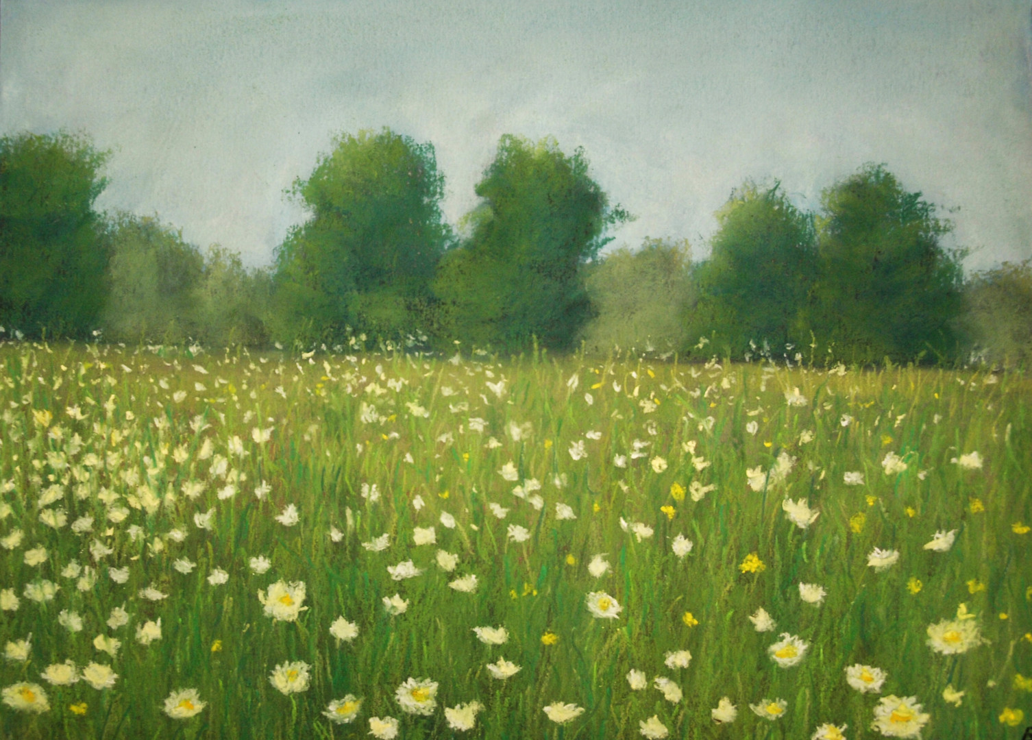 Flower Field, Painting by Nino Gudadze | Artmajeur