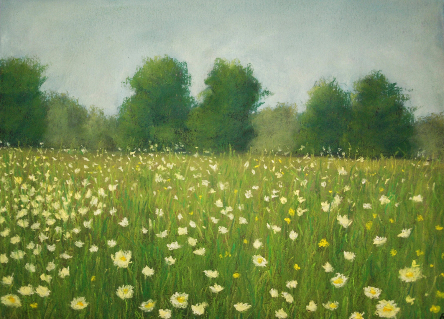 Flower Field Drawing By Nino Gudadze Artmajeur