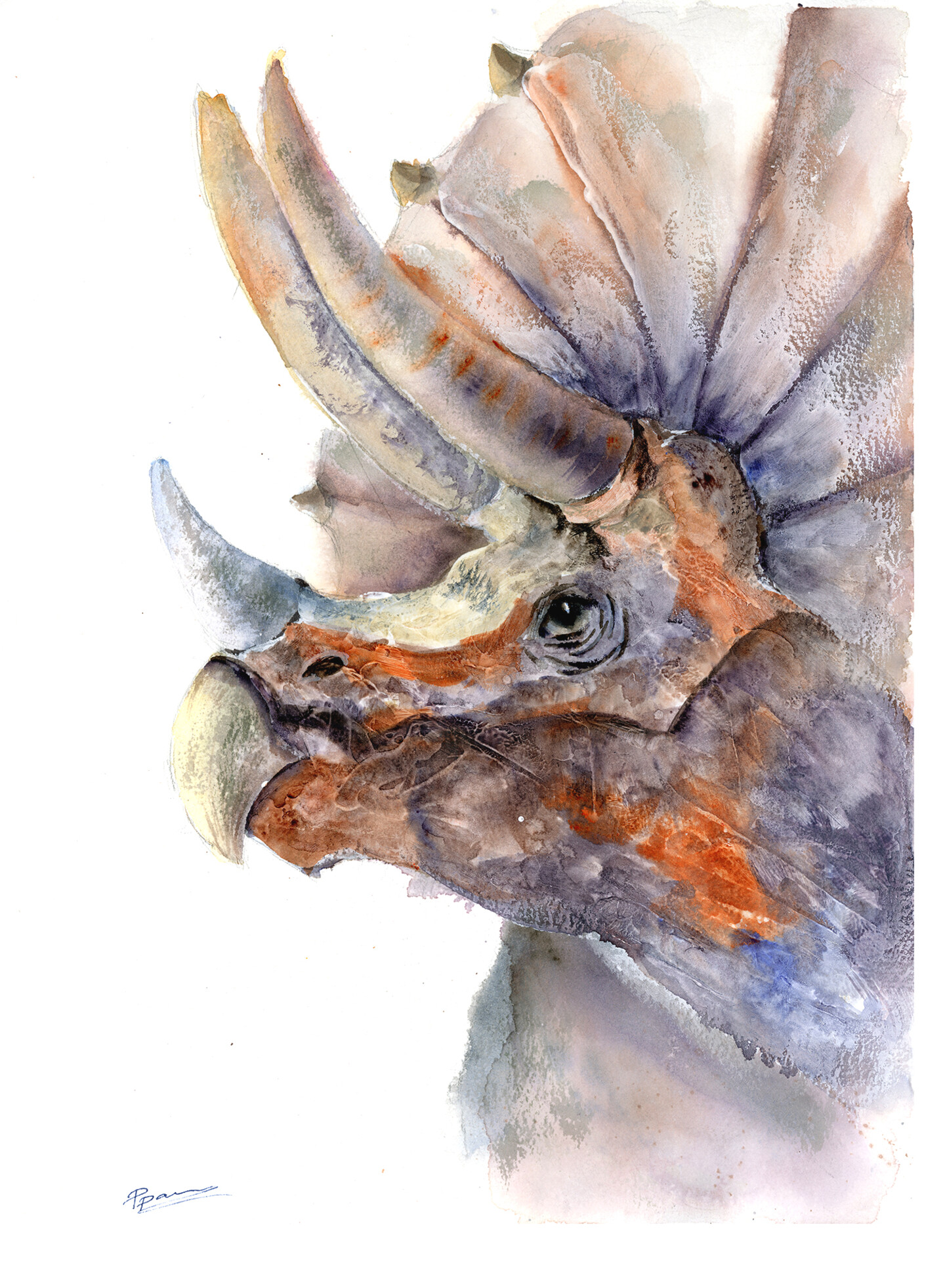Triceratops - Original Watercolor Painti, Картина - Paintispassion |  Artmajeur