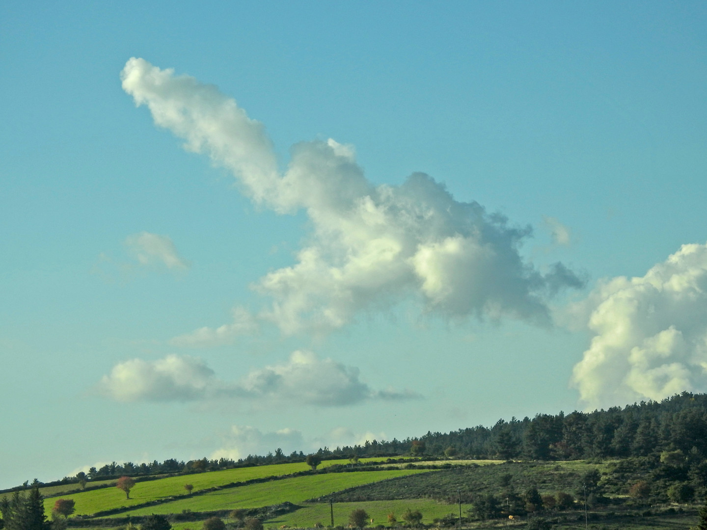 nimbus cumulus