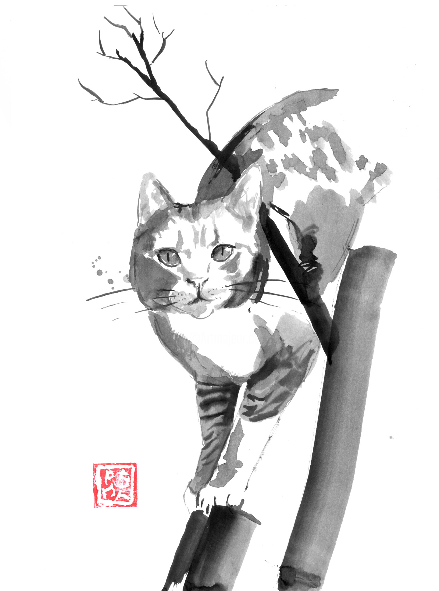 Climbing Cat, Dessin par Péchane Artmajeur