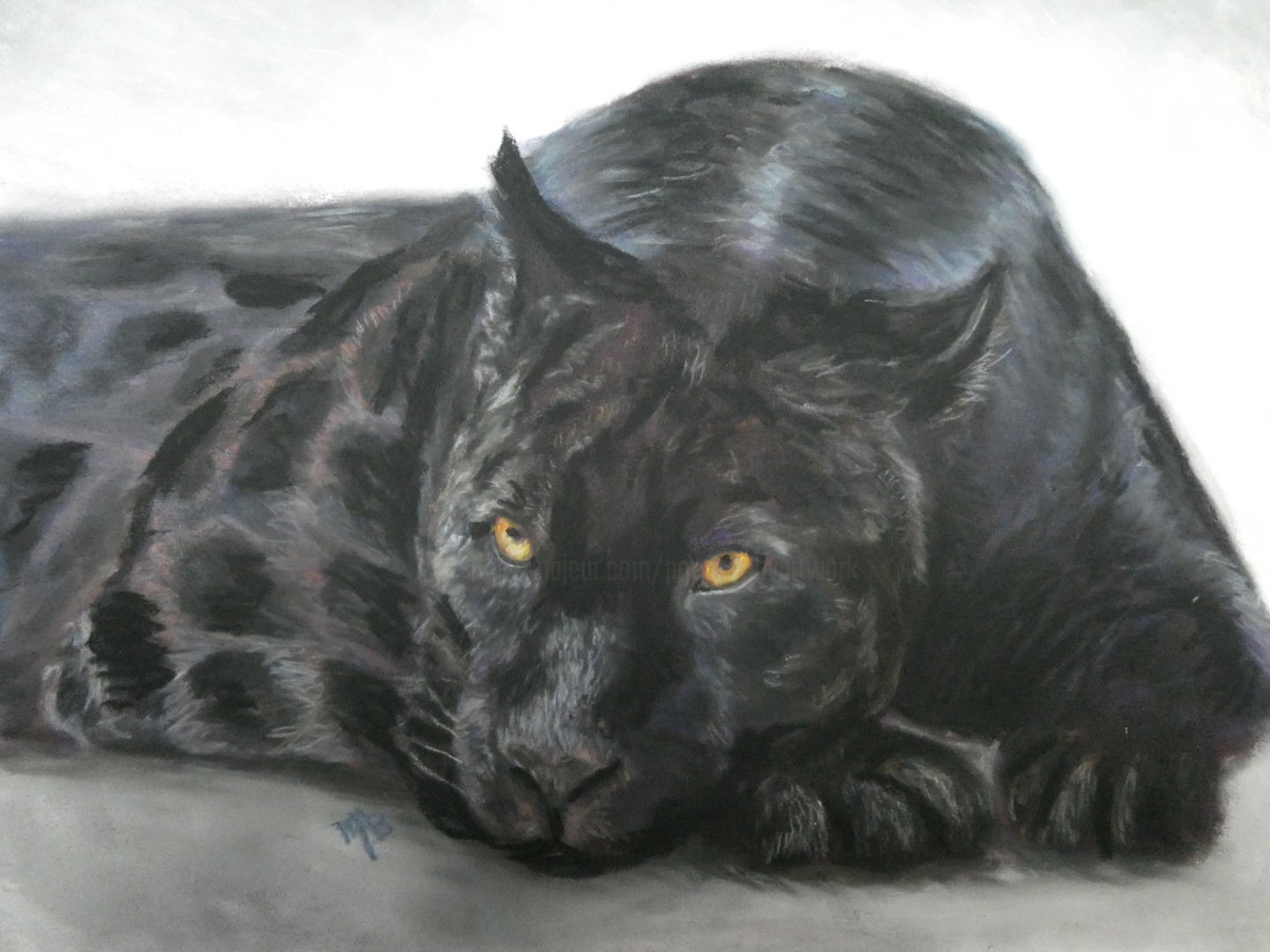 Black Panther Animal Drawing Black Panther By Real Warner Panther