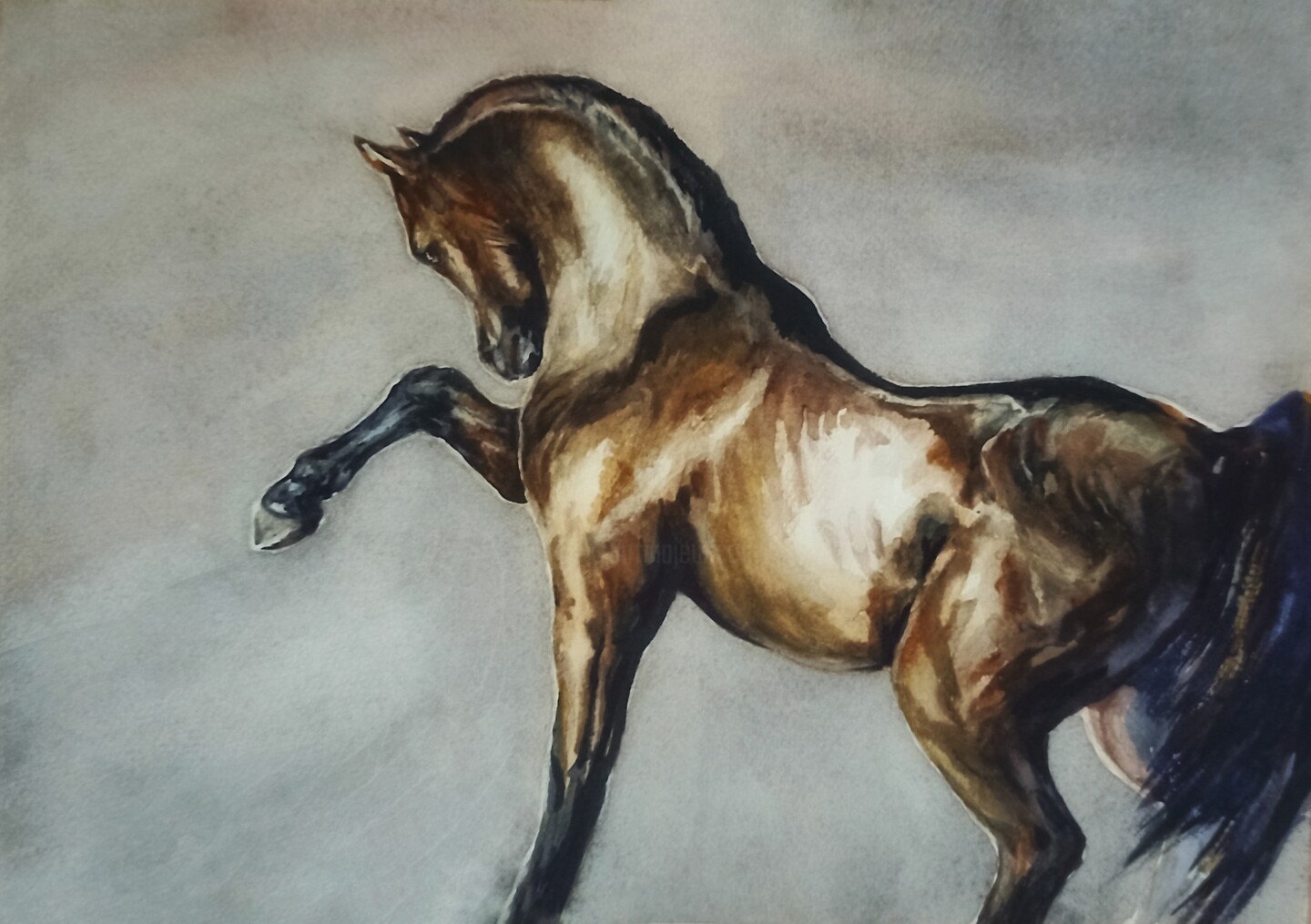 девушка в синем платье на лошади. красивые лошади. аватарки для профиля лошади. картинки для вдохновения лошадь. девушка едет лошади вдохновляет очень красиво.