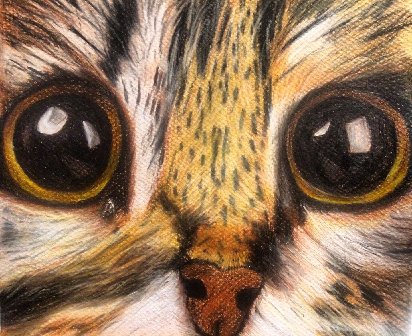Cat Eye, Drawing by Rebb Arts | Artmajeur