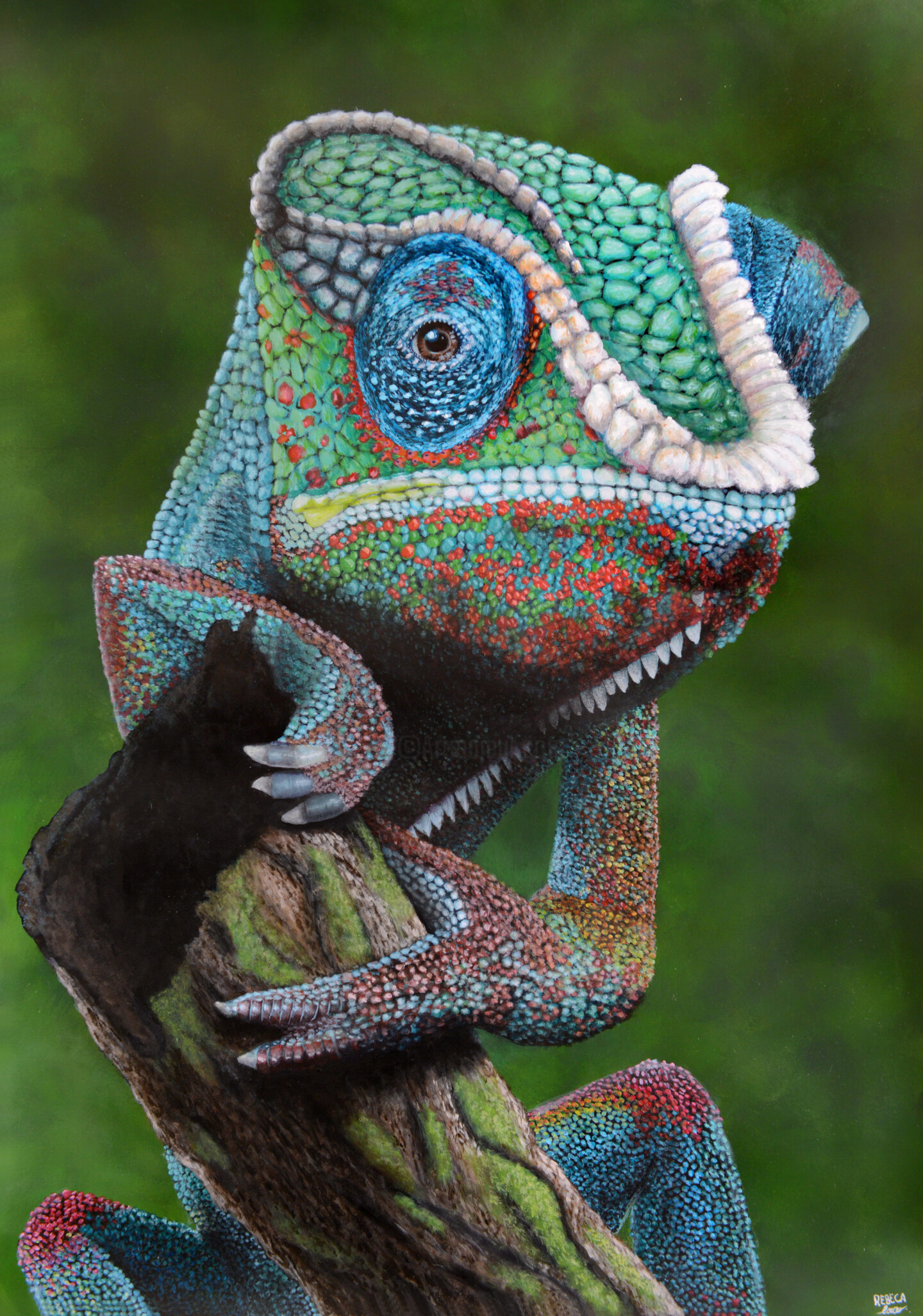 Glance Of The Chameleon, Painting by Rebeca Louro Artmajeur