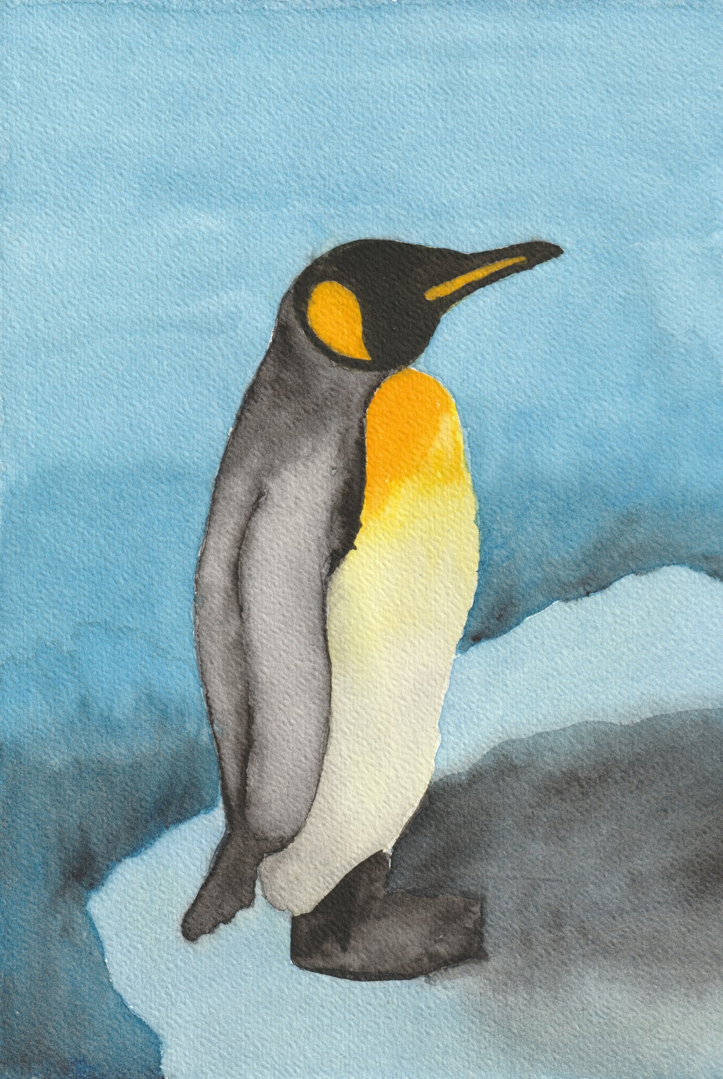 Pinguin, Peinture par Regina Wied