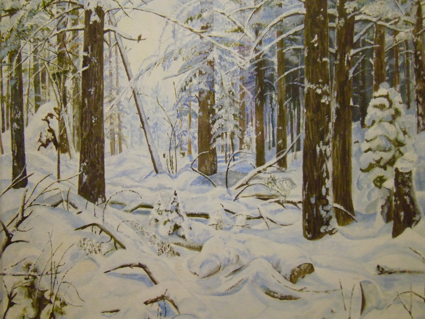 Картины художник шишков
