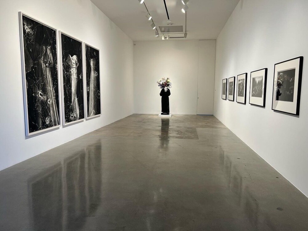 ロバート・ロンゴ アートブック 1995 ロバート・ロンゴ：先駆的