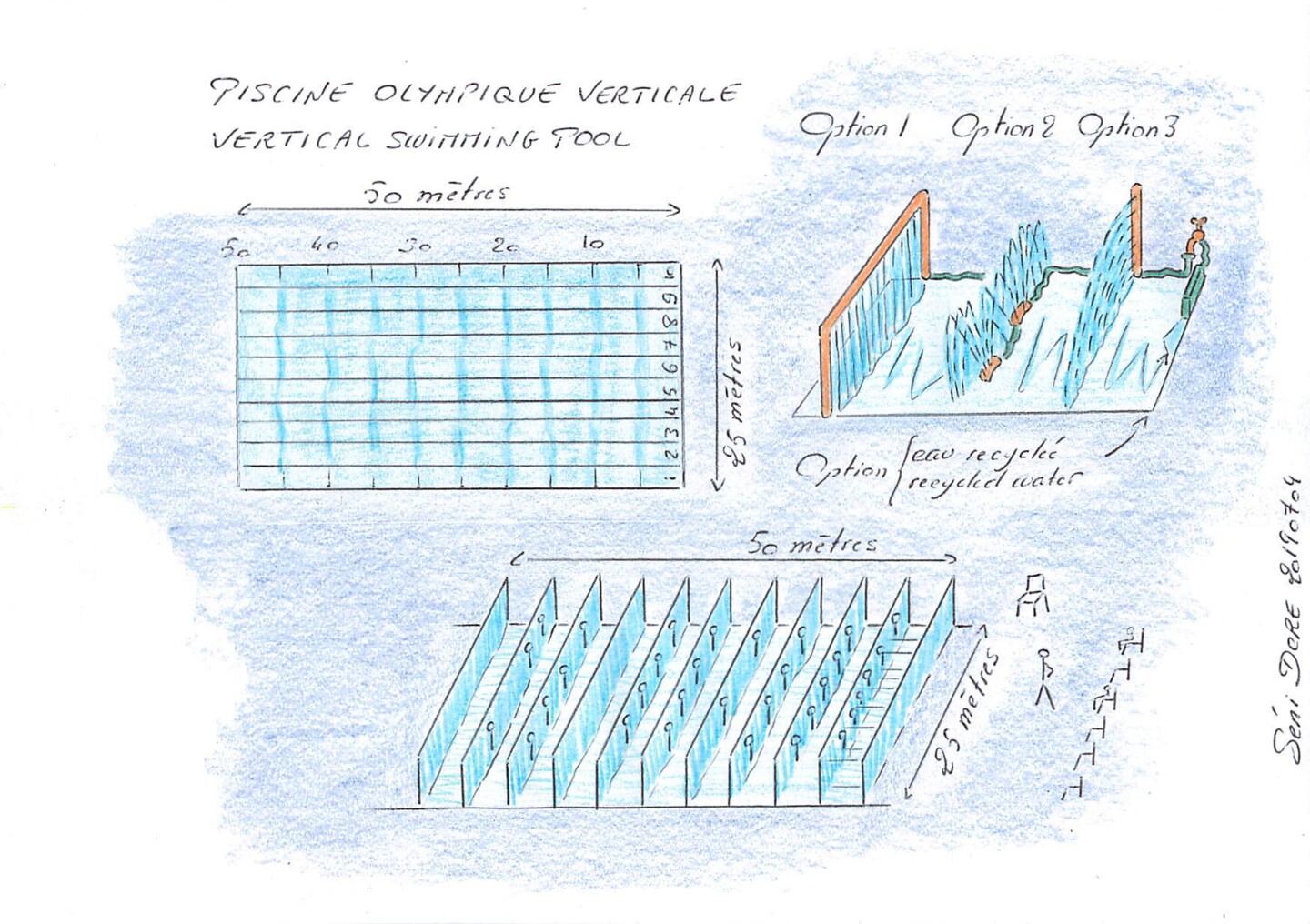 Piscine Olympique Dimension