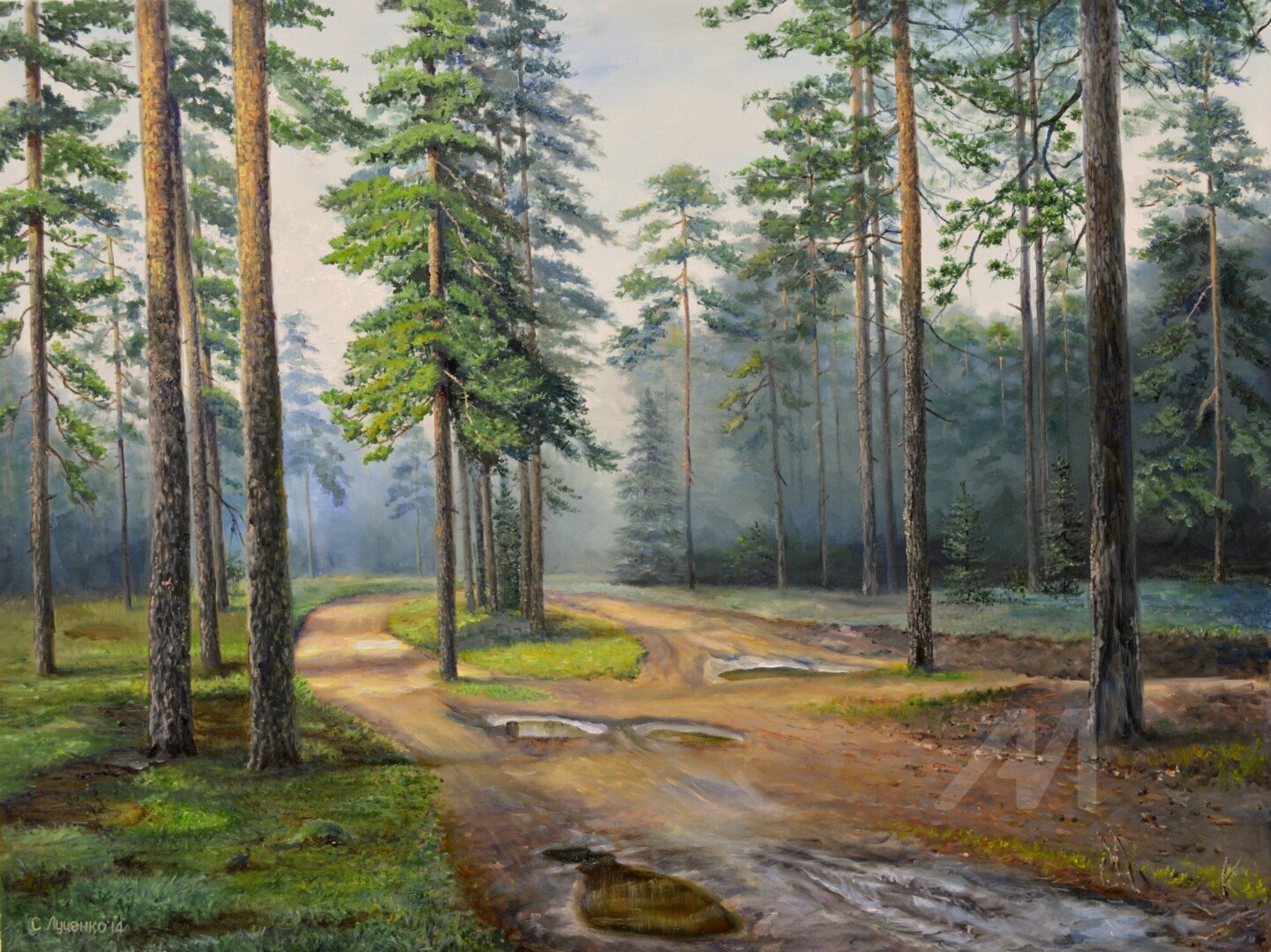 Дождь в лесу картина