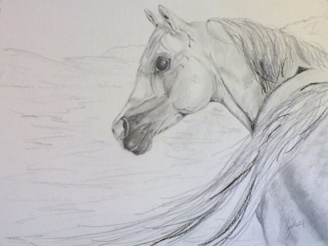 Desenho realista artístico de cavalos no grafite