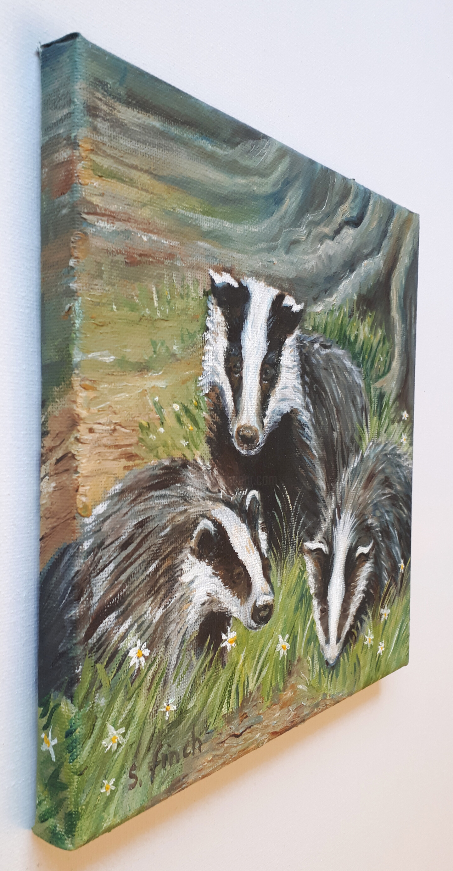 Spirit Of Badger, Painting by Sonia Finch | Artmajeur