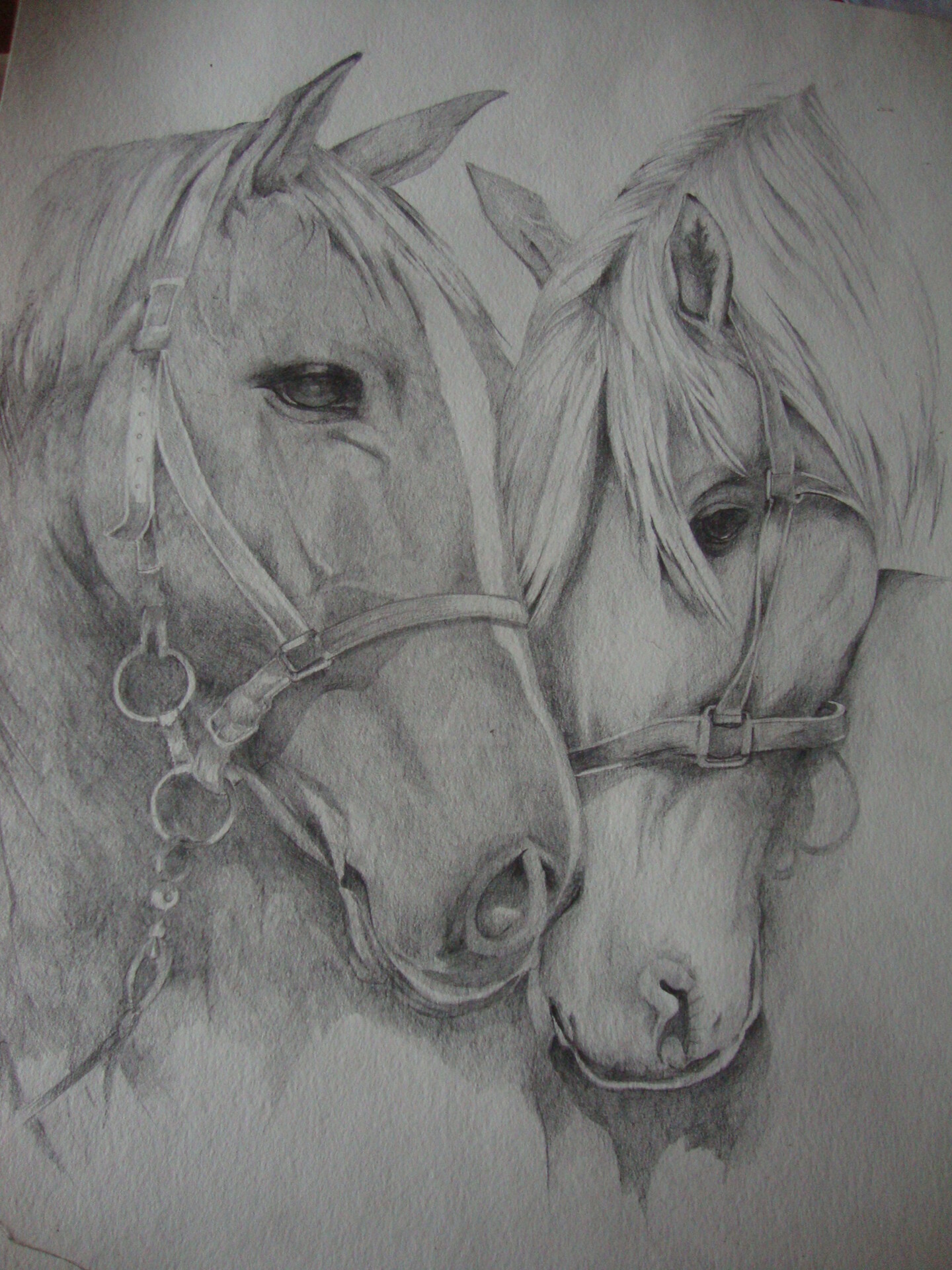 Horses, Dibujo por Sonja Brzak | Artmajeur