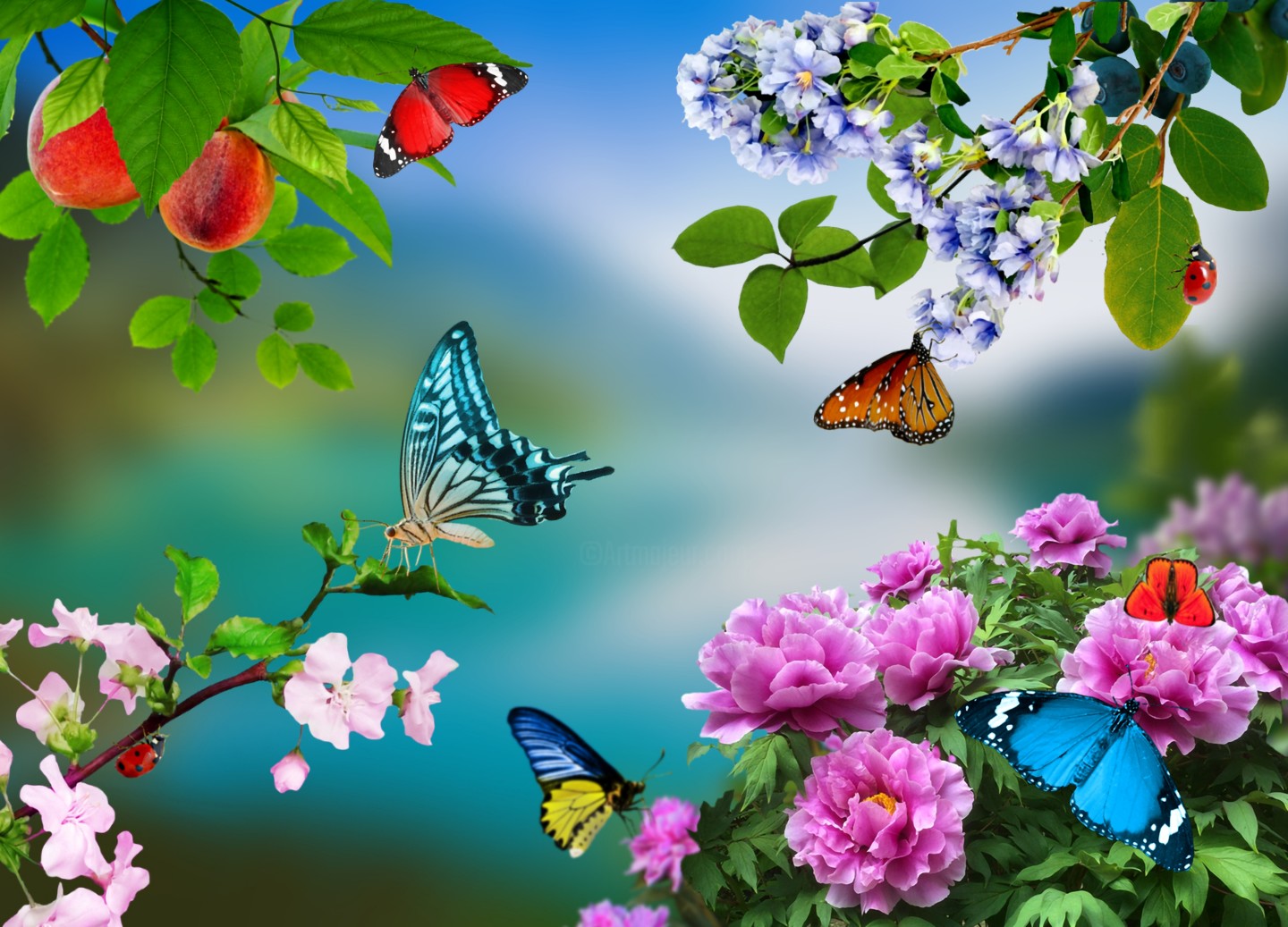 Butterflies and Blossoms