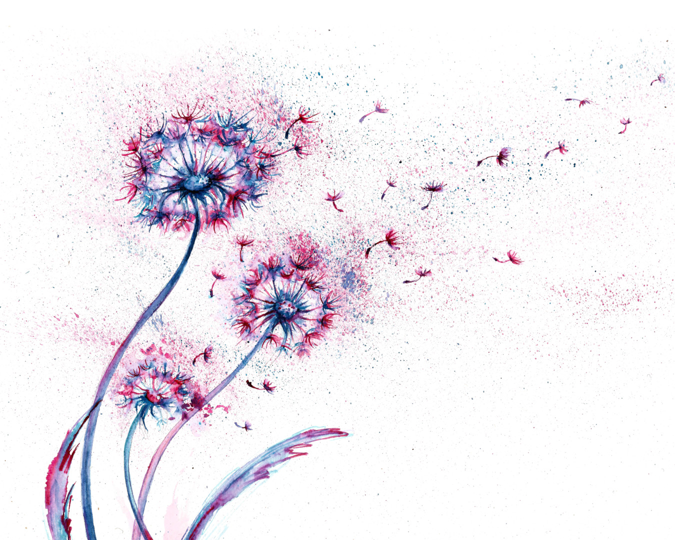 Abstract Dandelions watercolor Printmaking by Natalja Picugina Artmajeur