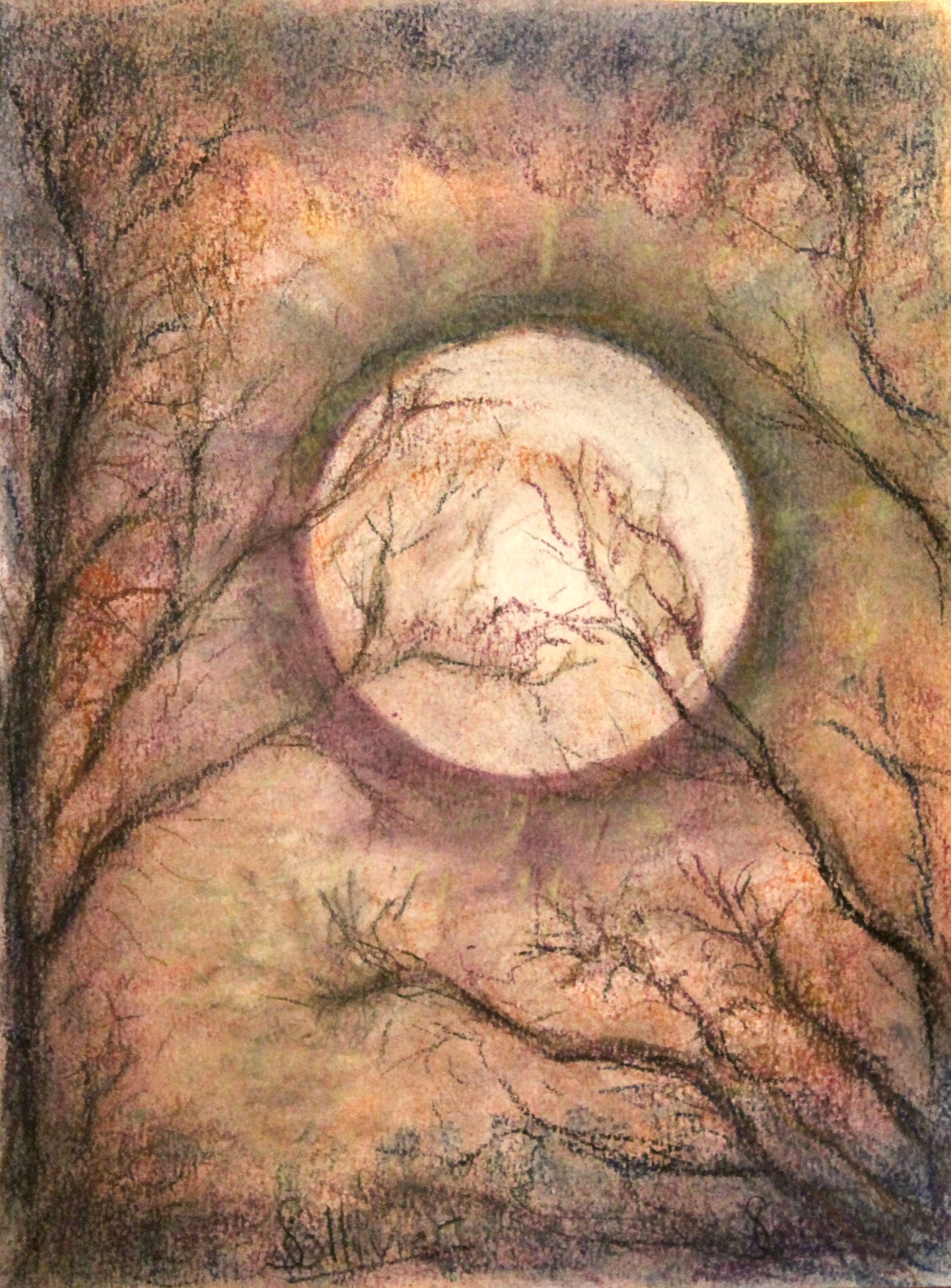 Clair De Lune Drawing By Sylvie Ollivier Artmajeur