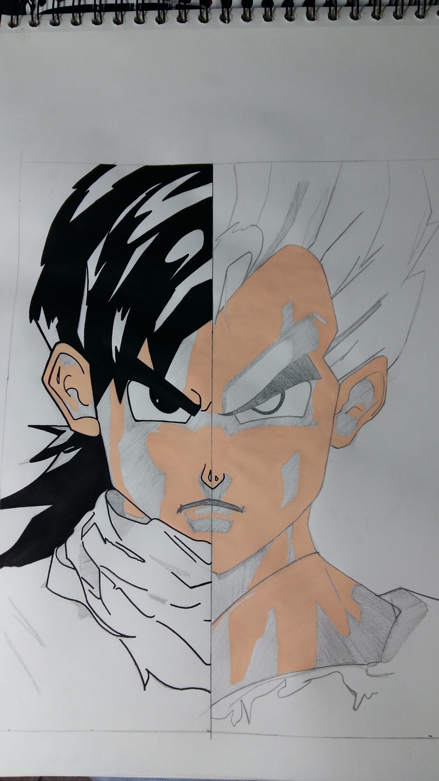 Dragon Ball Z, Drawing by Xavier Nowakowski