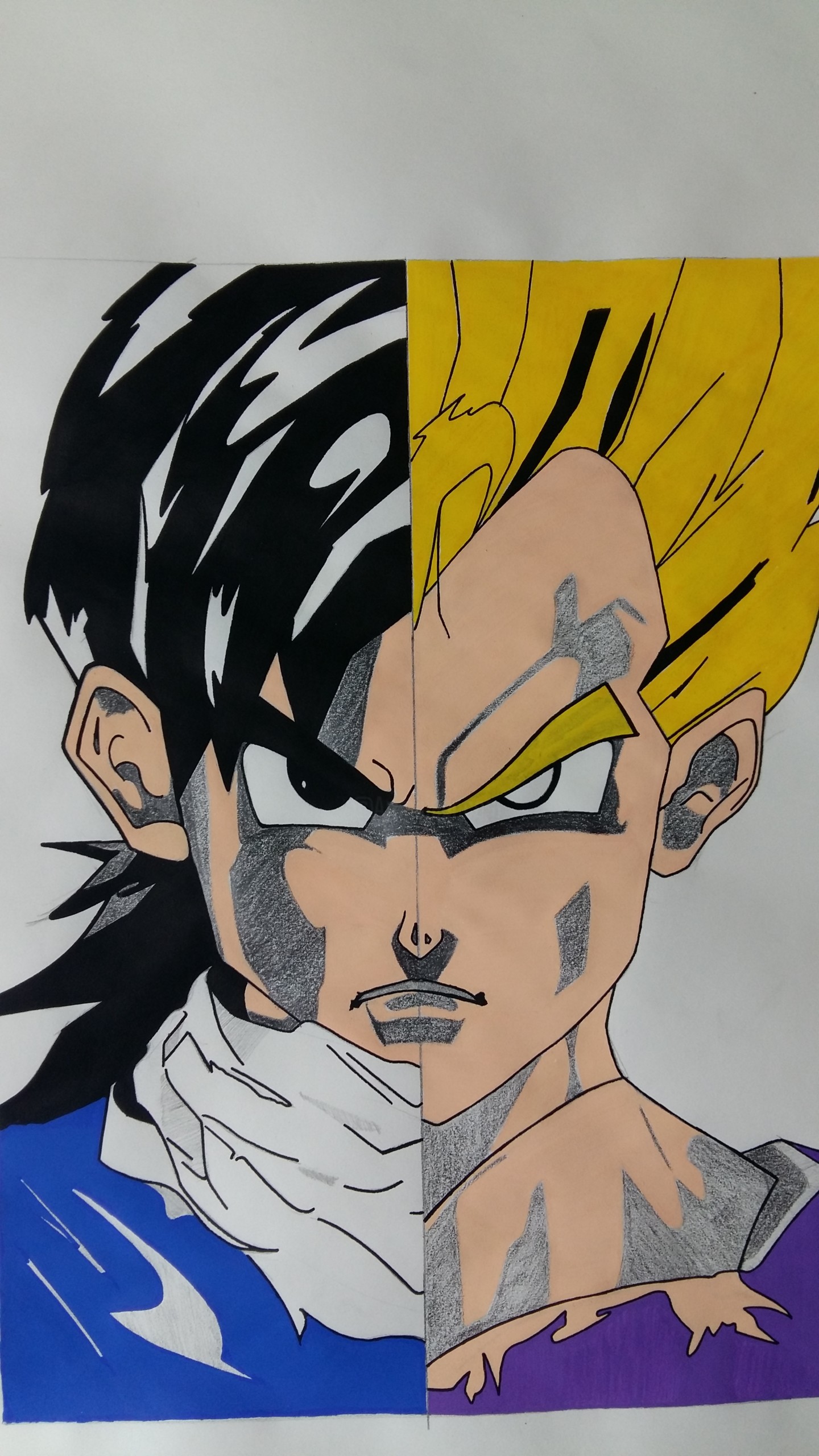 Dragon Ball Z, Desenho por Xavier Nowakowski