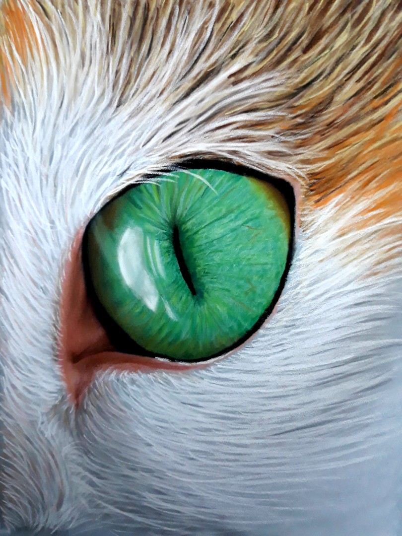 Cat Eye, Drawing by Nesdesign