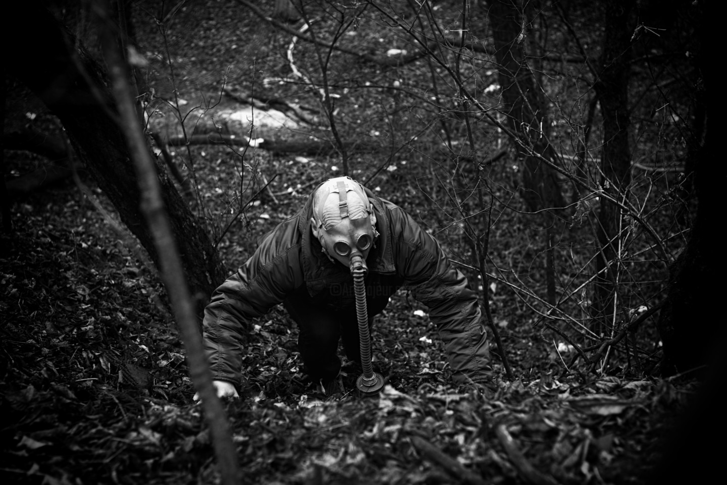 Vitaliy Lischinskiy (Belarus), Digital Contemporary Artist Artmajeur