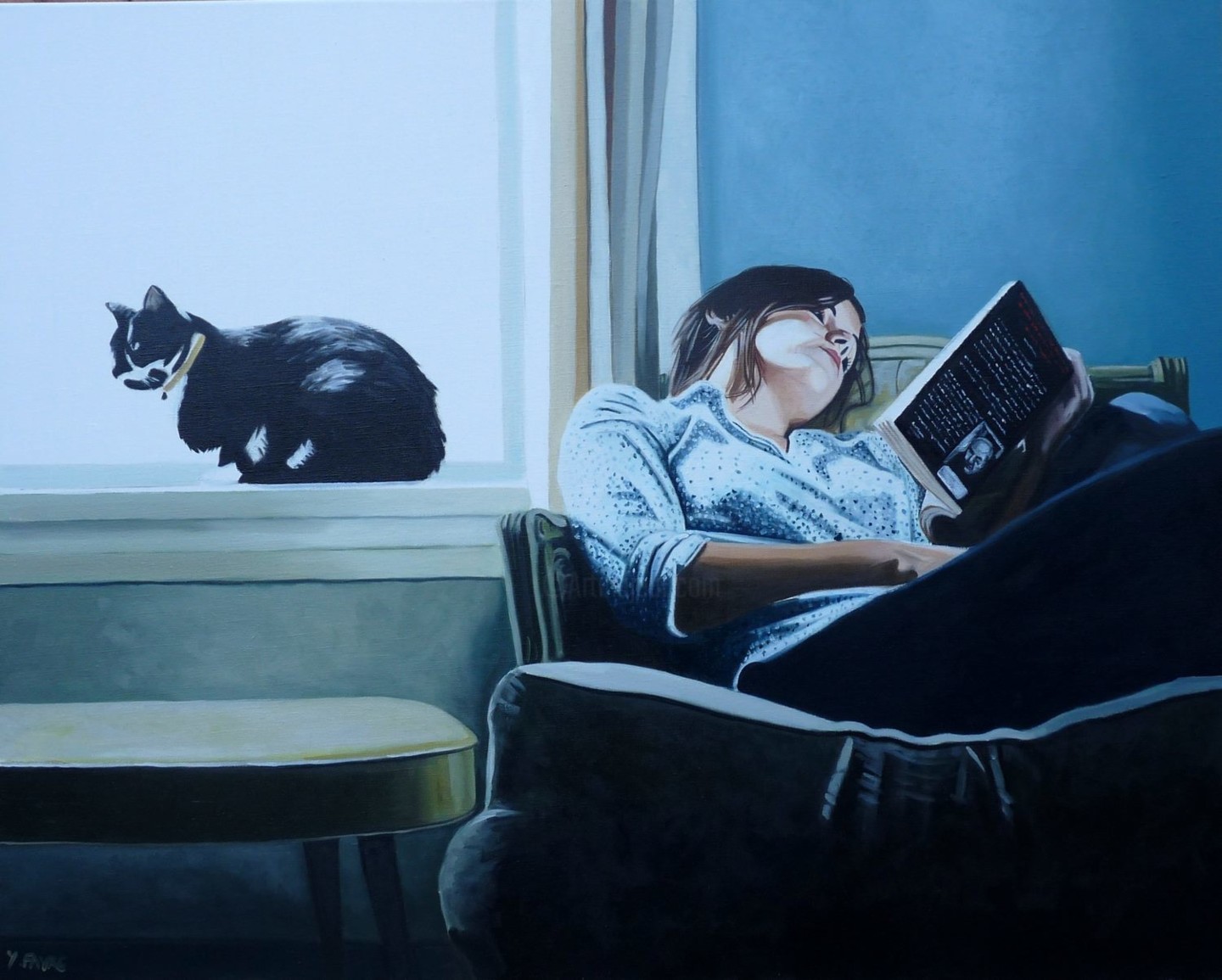 Кот сидит на книге рисунок