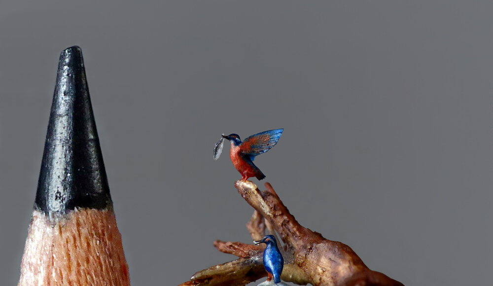 Marie Cohydon sculpte d'incroyables petites sculptures d'oiseaux qui nécessitent un microscope pour être appréciées