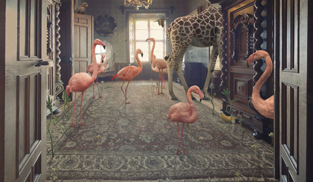 The success of the flamingo in contemporary art